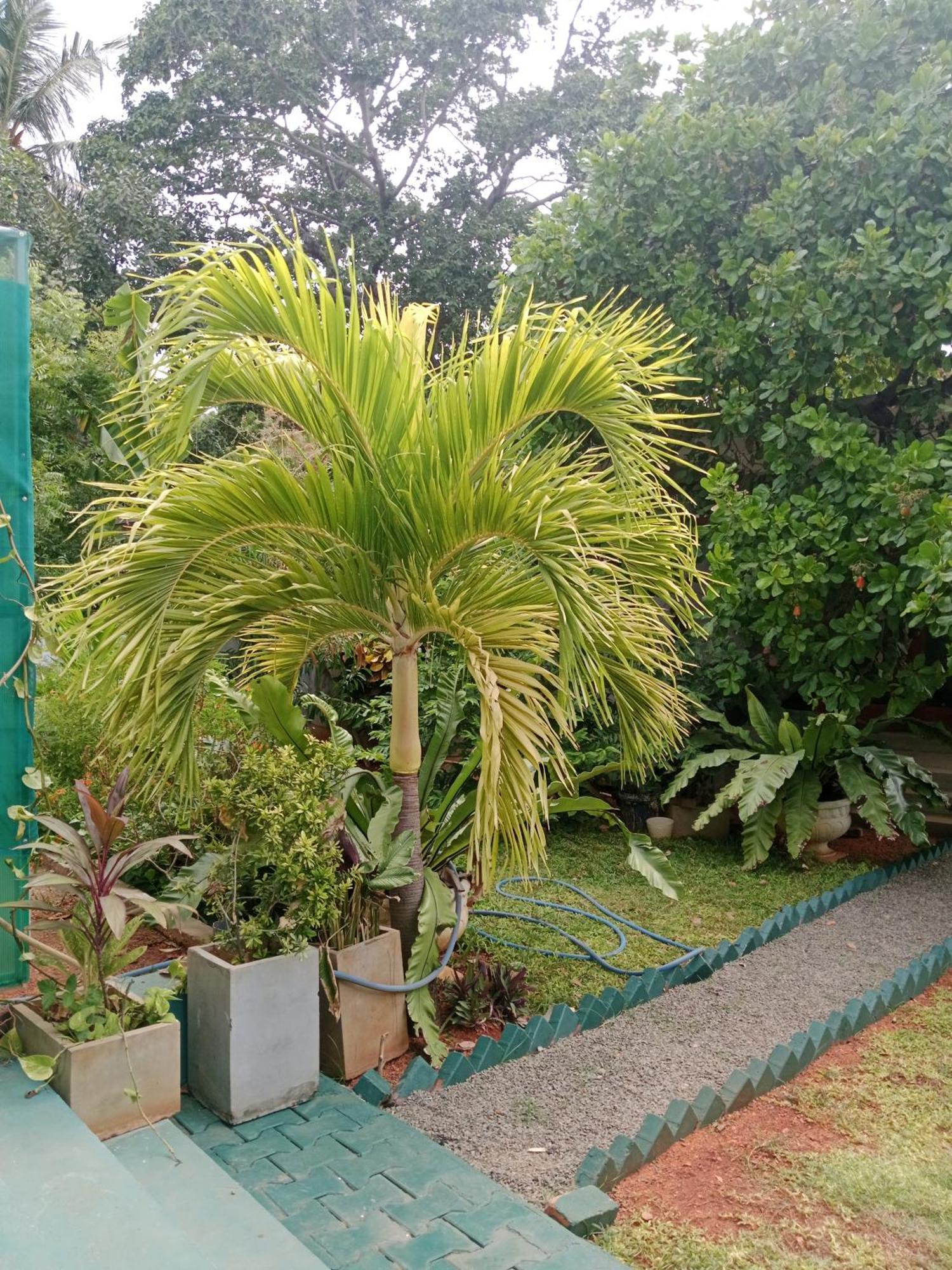 Home Stay Resort Nilaveli Εξωτερικό φωτογραφία